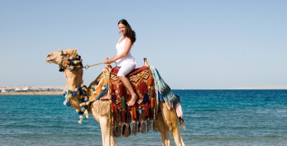 Imagem de capa - Ela teve sorte?