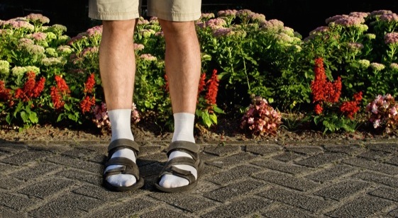 Imagem de capa - Dividindo os homens em dois grupos