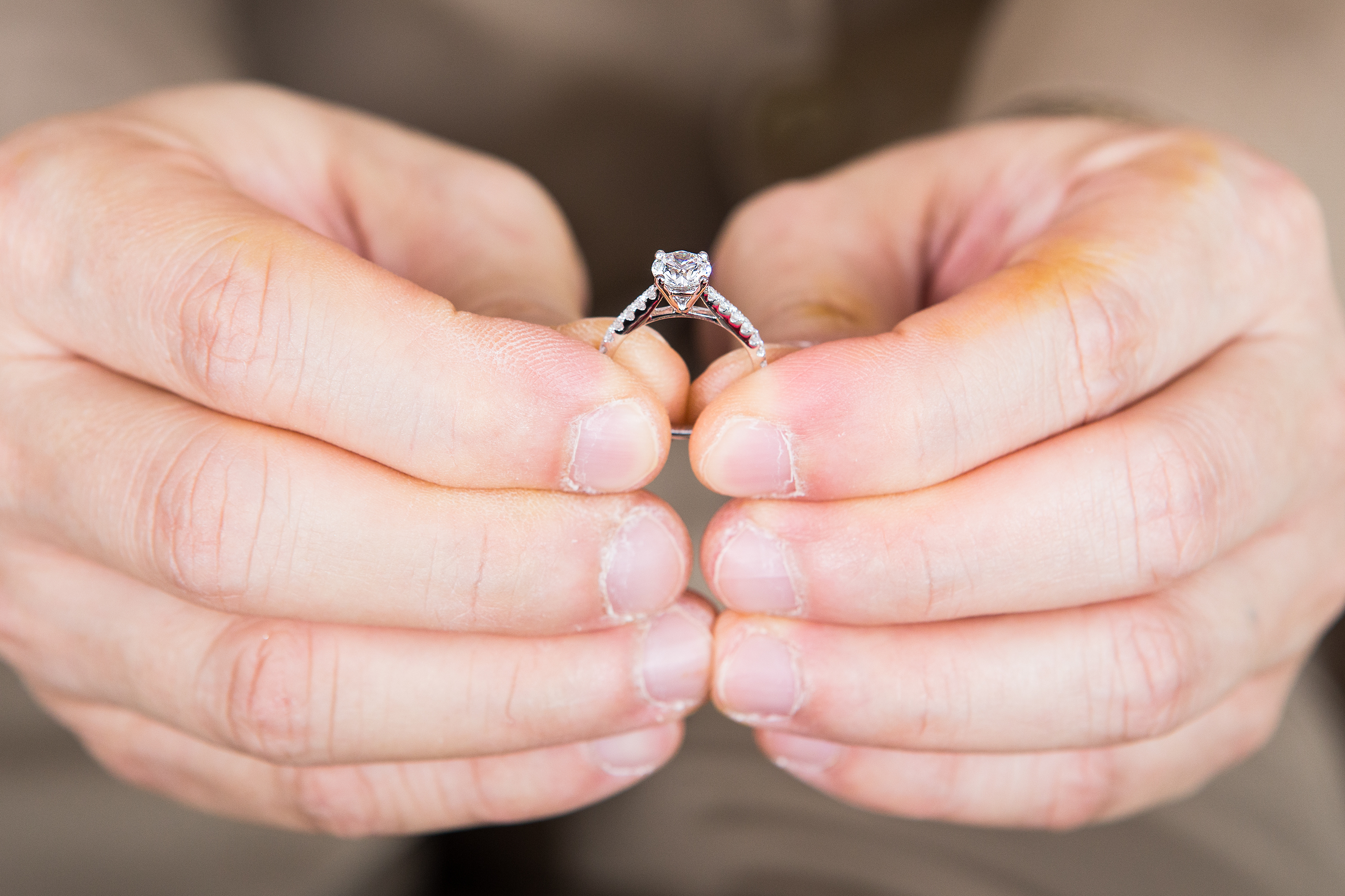 shutterstock_304349654