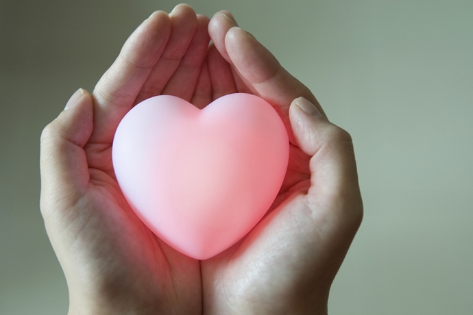 Imagem de capa - O ladrão de corações