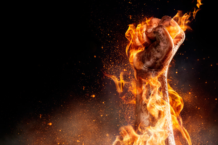 Imagem de capa - O Forte