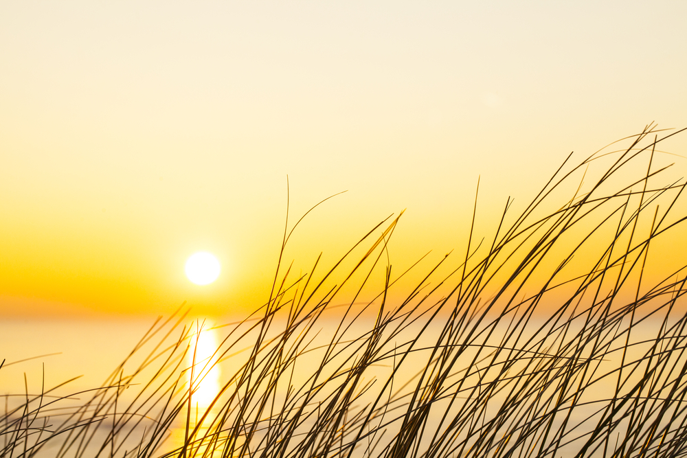 shutterstock_200955263