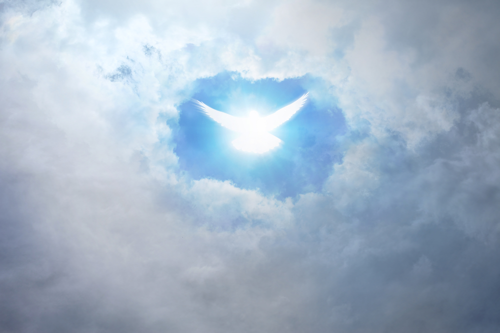 shutterstock_140475226