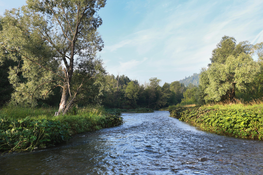 shutterstock_258158837