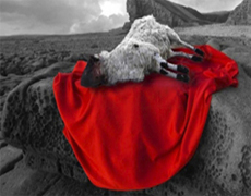 Imagem de capa - Живая жертва