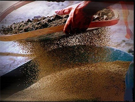 Imagem de capa - I tre setacci di Socrate