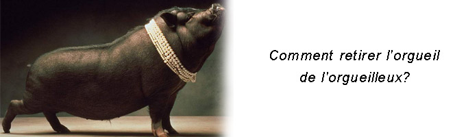 Imagem de capa - Perles aux pourceaux