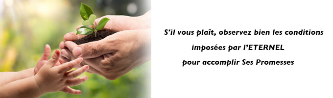 Imagem de capa - L’Echange