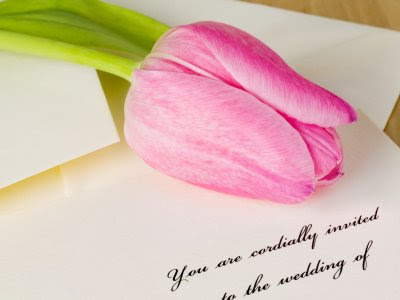 A pink tulip rests on a wedding invitation.