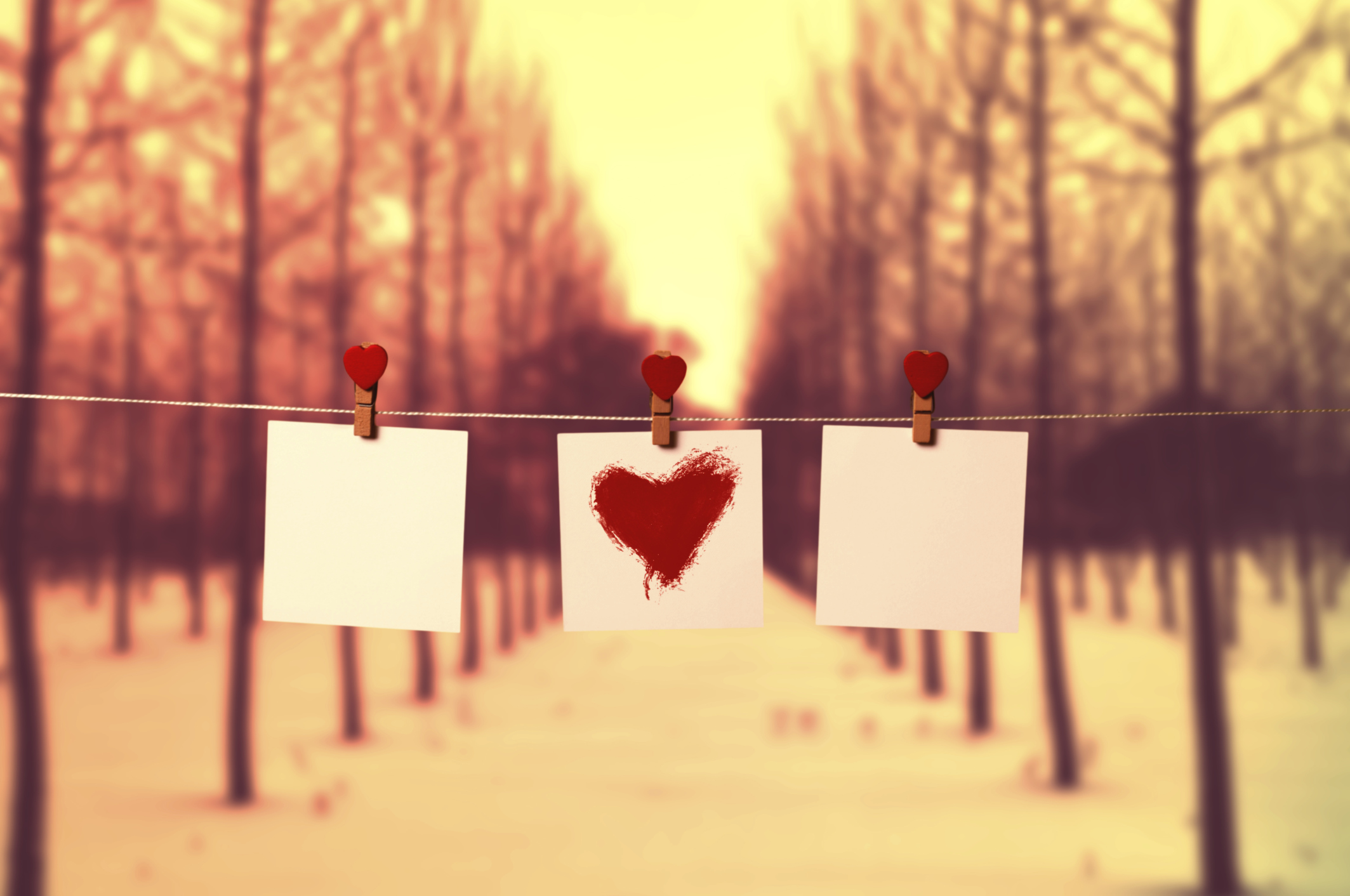 Imagem de capa - O que é amor