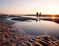 Imagem de capa - Como tudo começou?