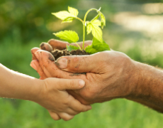 Imagem de capa - Troca de Ofertas