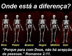 Imagem de capa - Onde está a diferença?