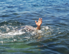 Imagem de capa - Fé Pura