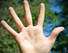 Imagem de capa - Os 5 Poderes de Todos