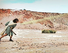 Imagem de capa - São Jorge ou Davi, a quem você vai assistir?