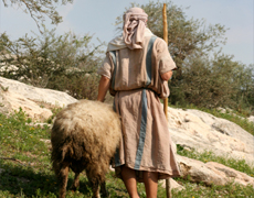 Imagem de capa - O Reino do Espírito Santo