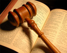 Imagem de capa - Um Grito do Céu