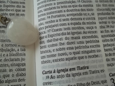 Imagem de capa - Voto pelo familiar