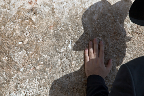 Imagem de capa - Judeu salvo na última hora
