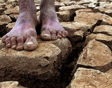 Imagem de capa - A maldição da descrença