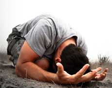 Imagem de capa - Barbas de molho