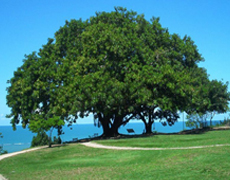 Imagem de capa - Por que ainda não fui batizado no Espírito Santo?