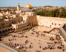 Imagem de capa - Alerta da Salvação