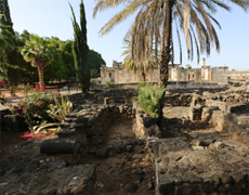 Imagem de capa - E a maldição tem se cumprido