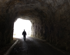 Imagem de capa - Novidade de Vida