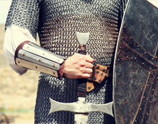 Imagem de capa - Armadura e Vestidura