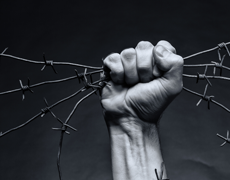 Imagem de capa - Transformando fraquezas em forças