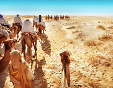 Imagem de capa - Onde o maná cai...