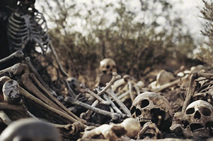 Imagem de capa - De quem eram aqueles ossos?
