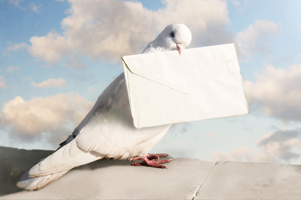 Imagem de capa - Qual o endereço de Deus?