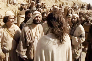 Imagem de capa - Não basta conviver, tem que nascer