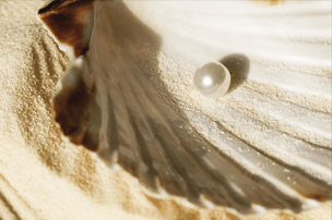 Imagem de capa - Encontrei o tesouro escondido