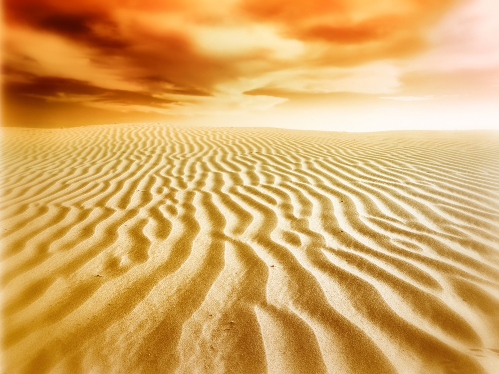 shutterstock_81949003