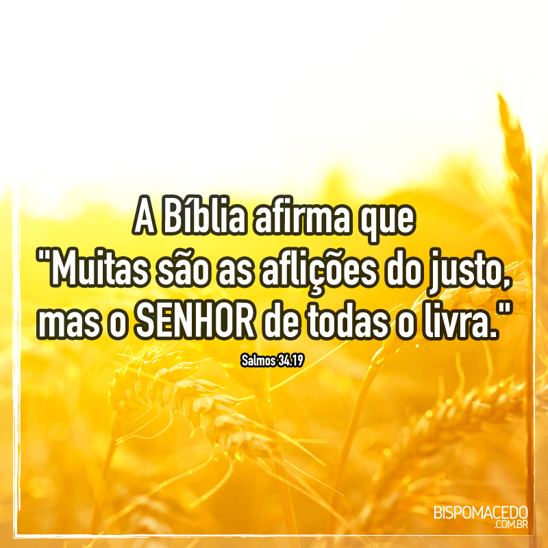 10984622_10153077028035108_7926487666522865053_n