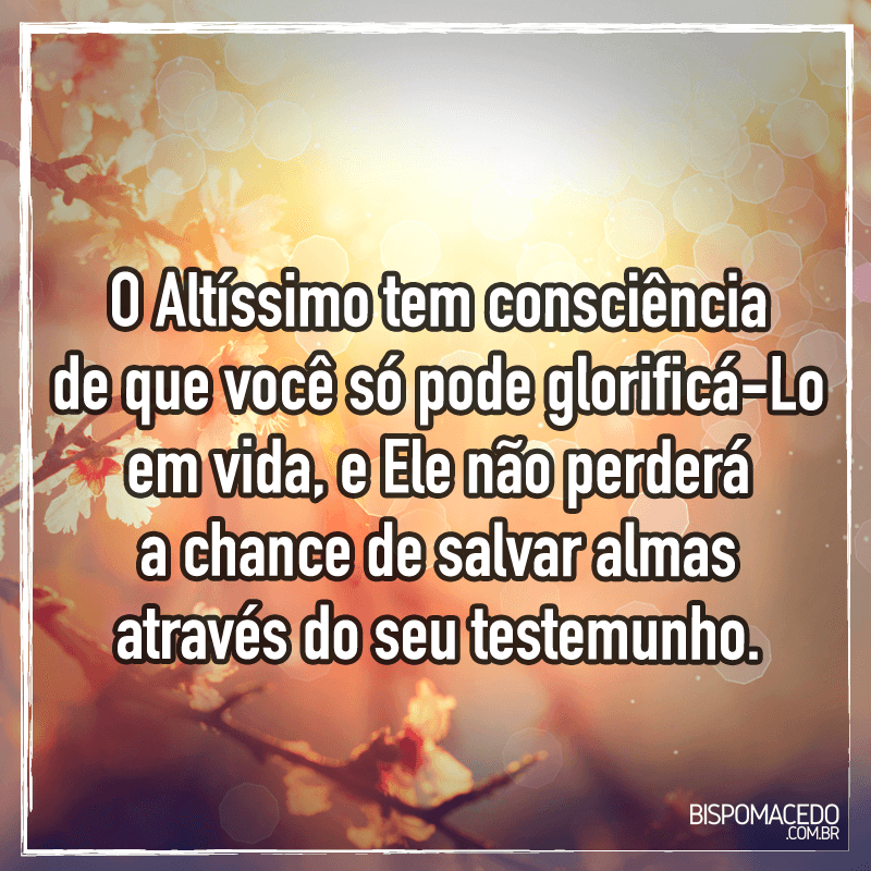 11870841_10153083233990108_1374048598713962783_n