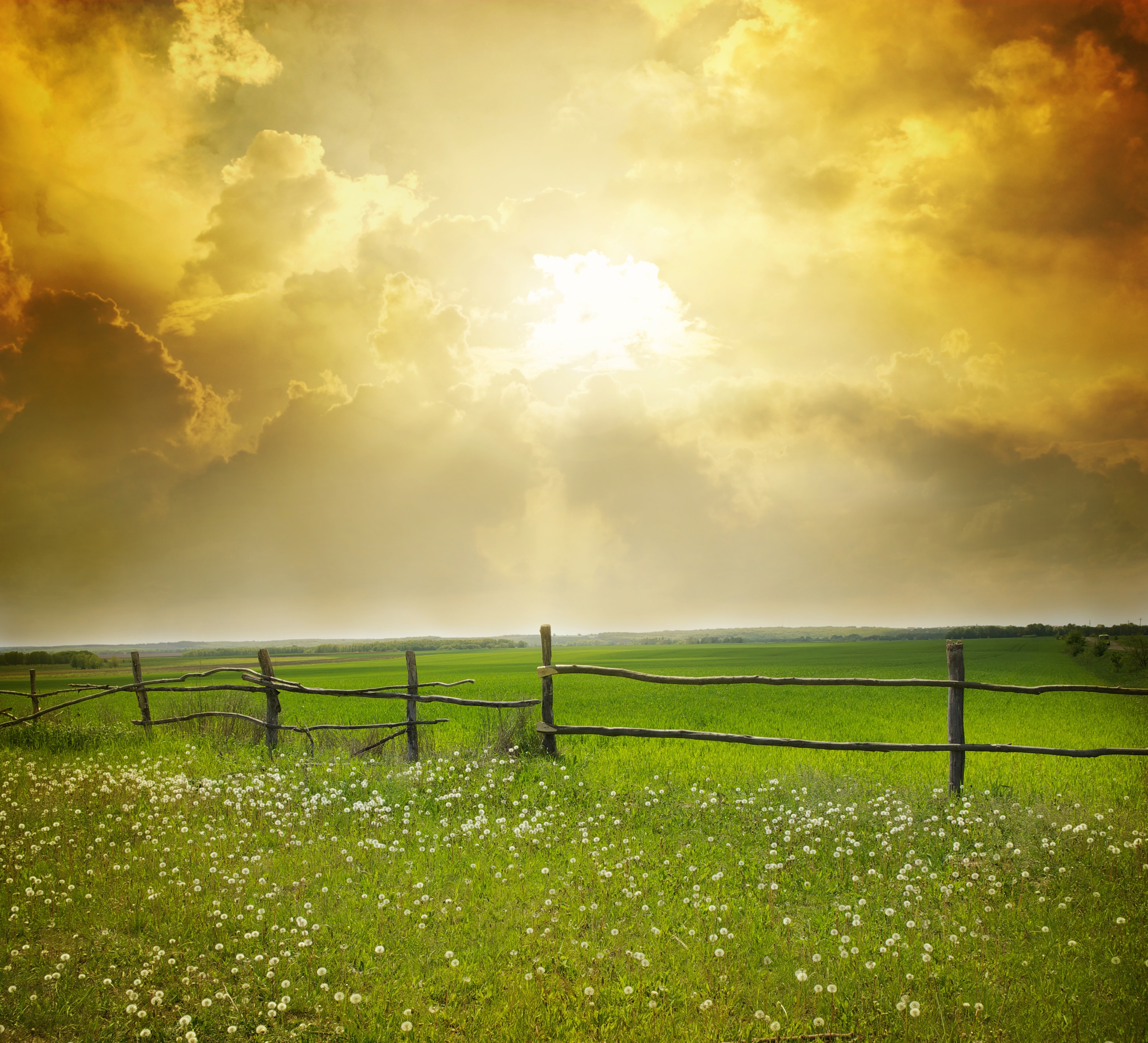 shutterstock_100356677