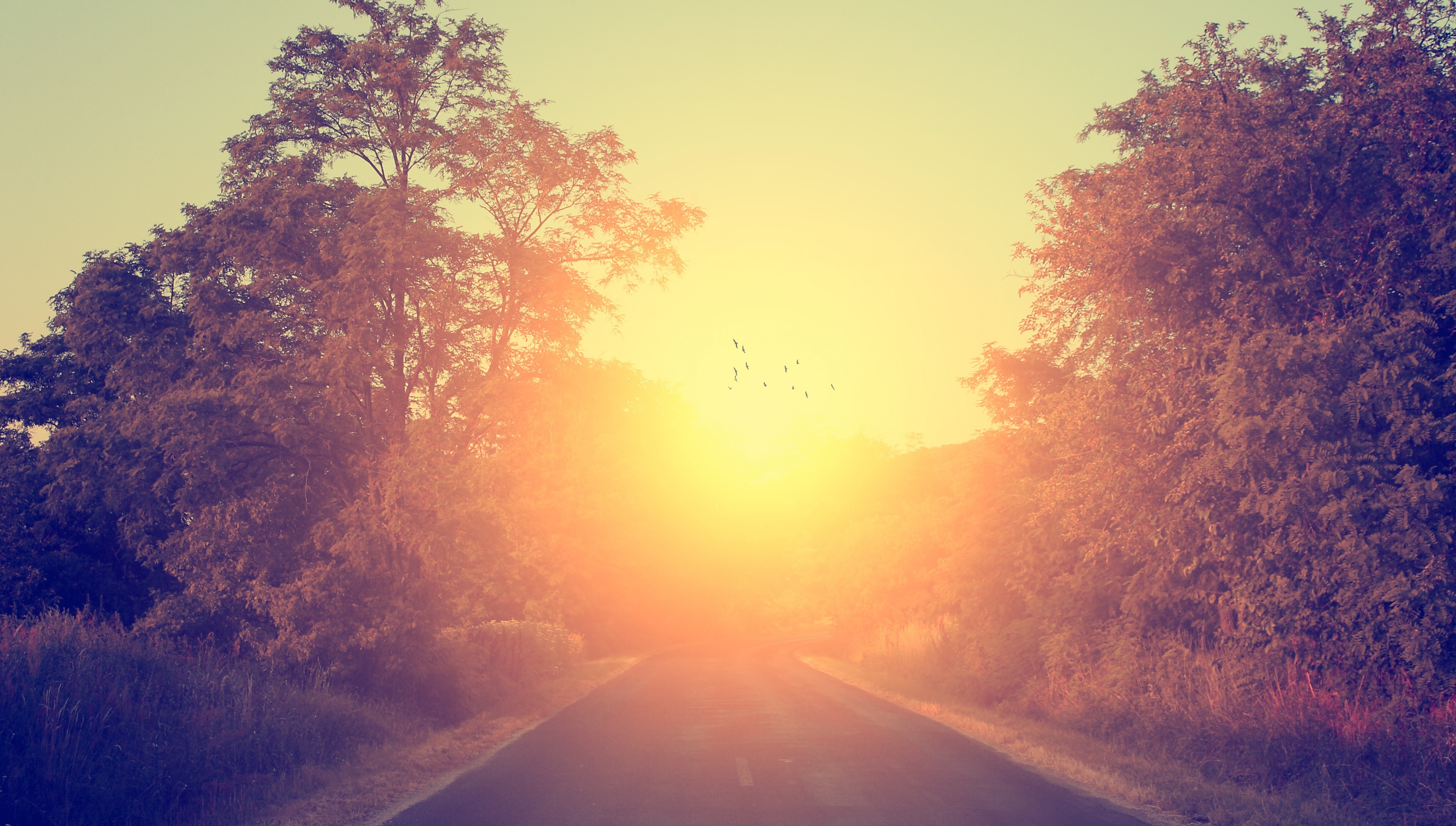 shutterstock_167591606