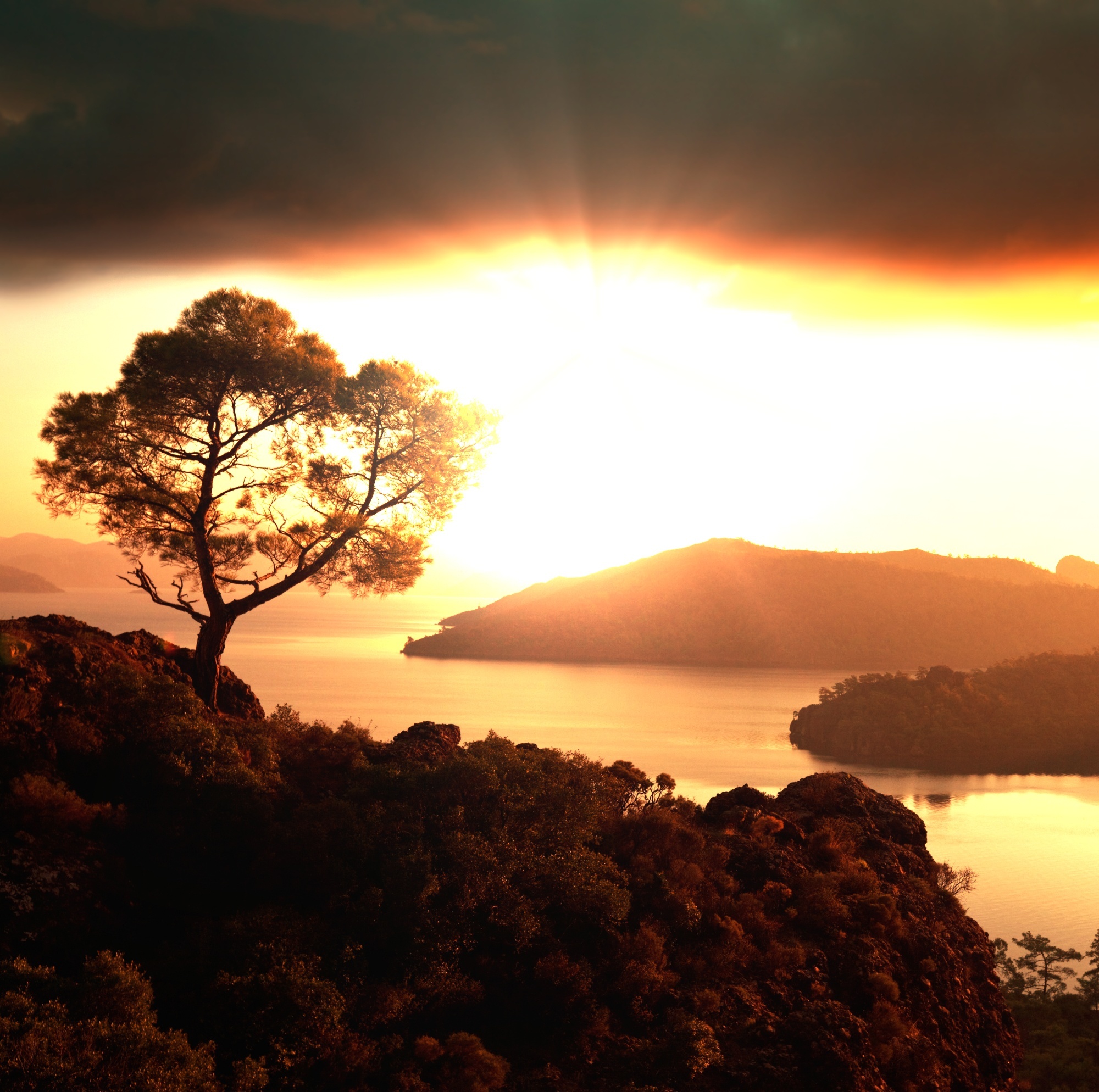 shutterstock_113581945