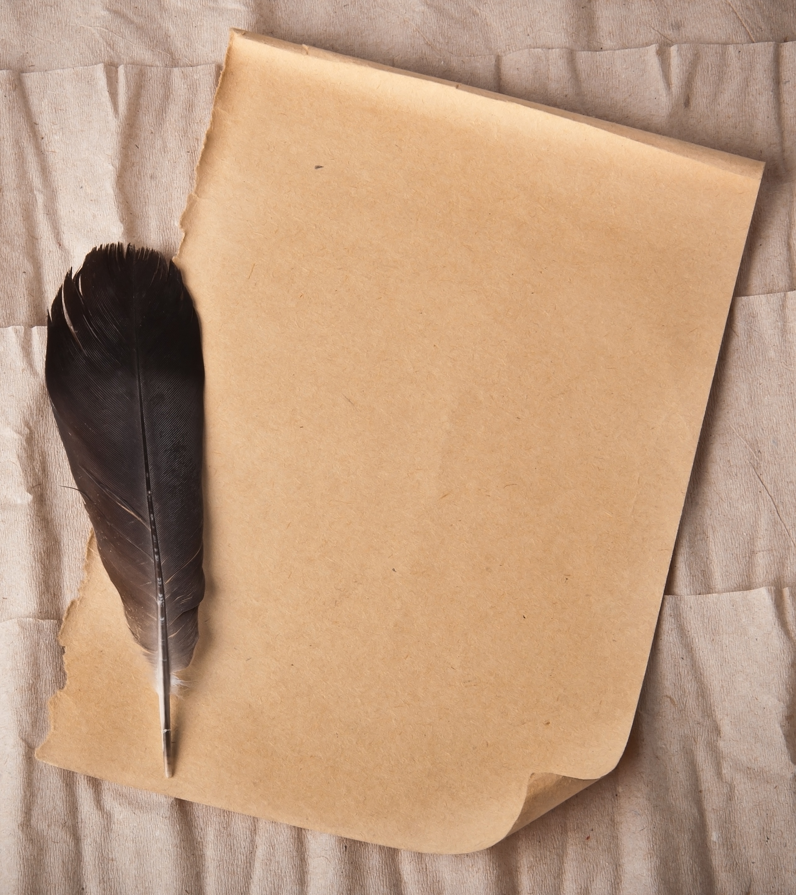 shutterstock_115110271