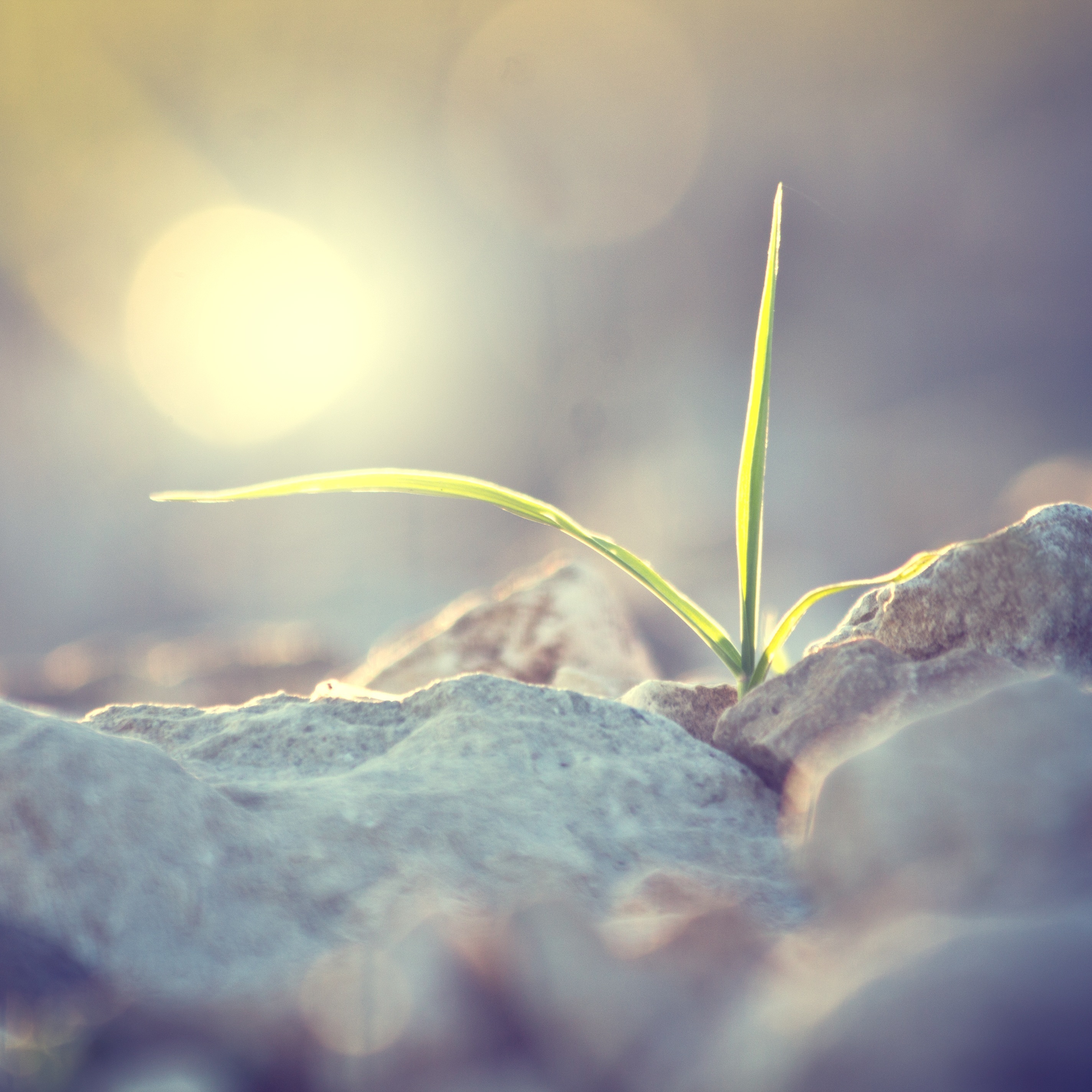 shutterstock_145406503