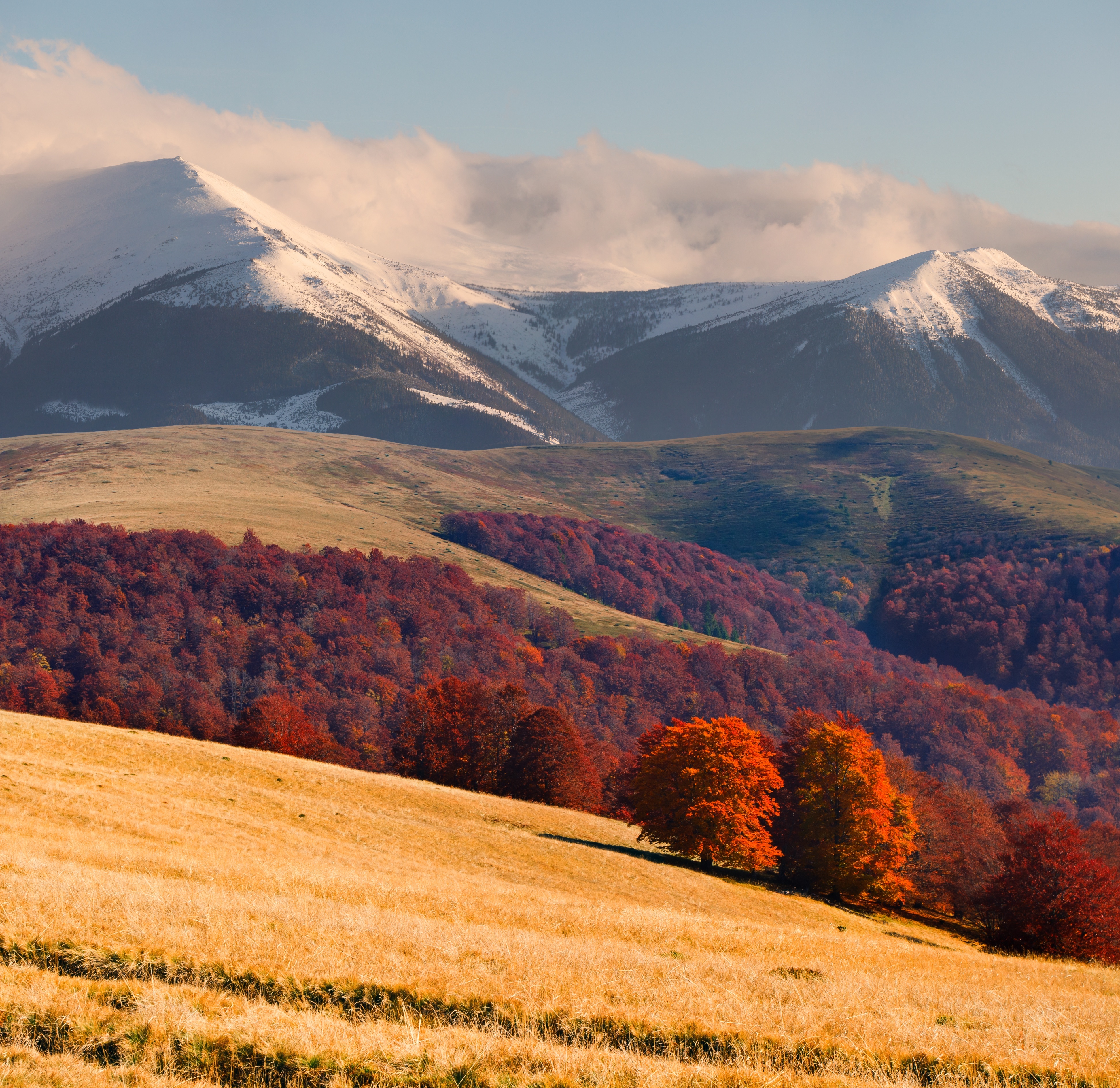 shutterstock_113259766