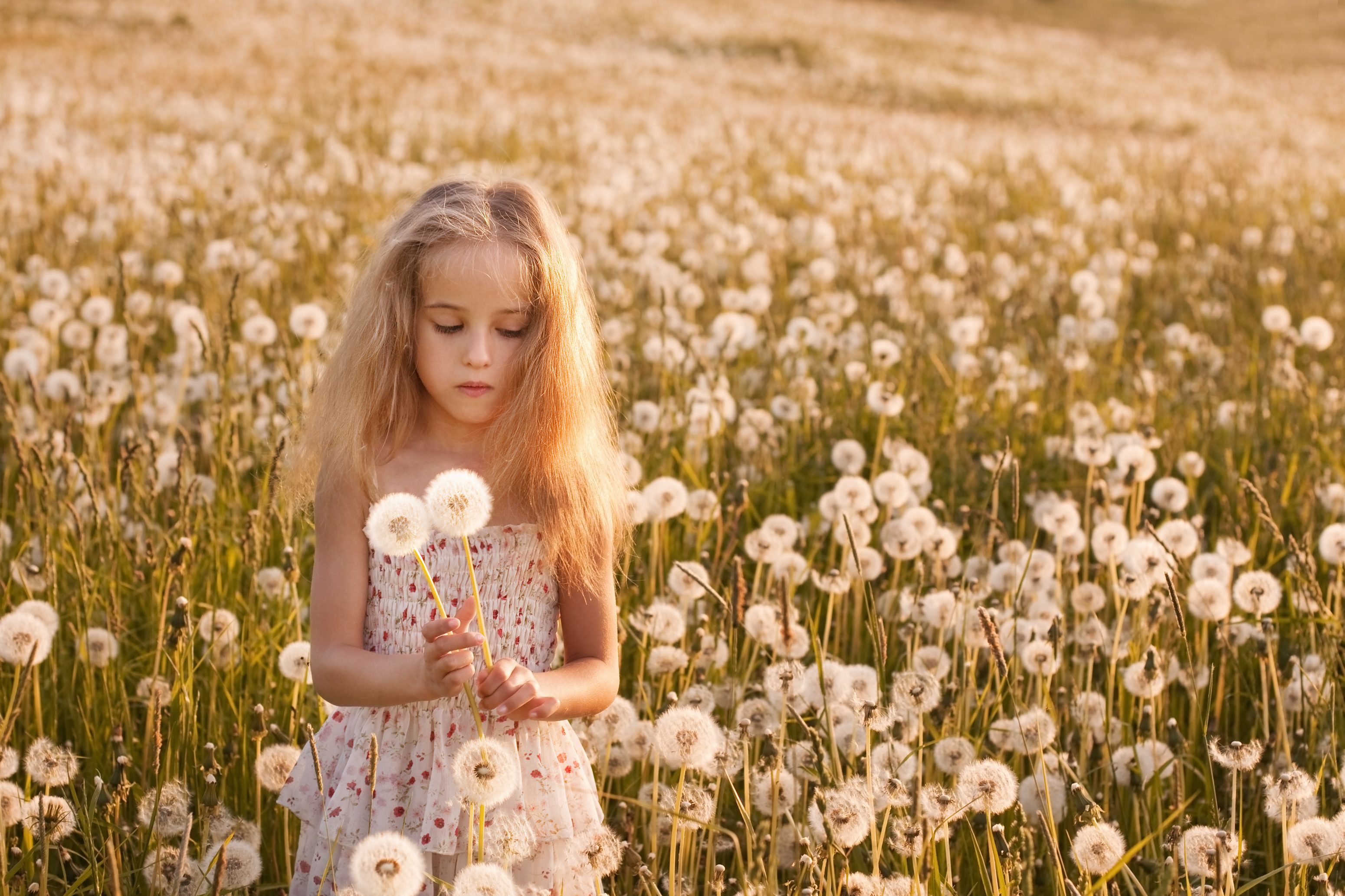 shutterstock_104924741