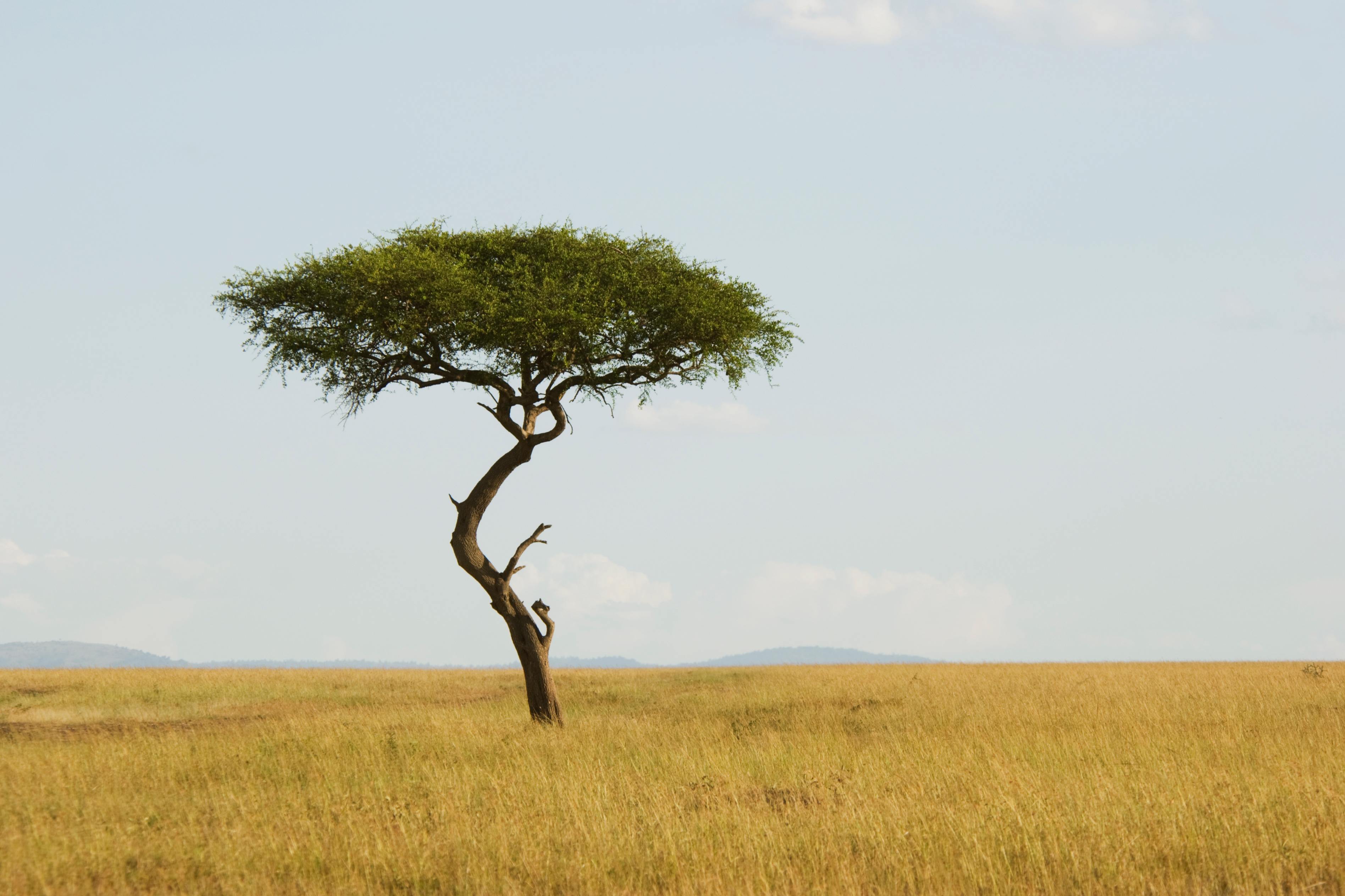 shutterstock_111756644