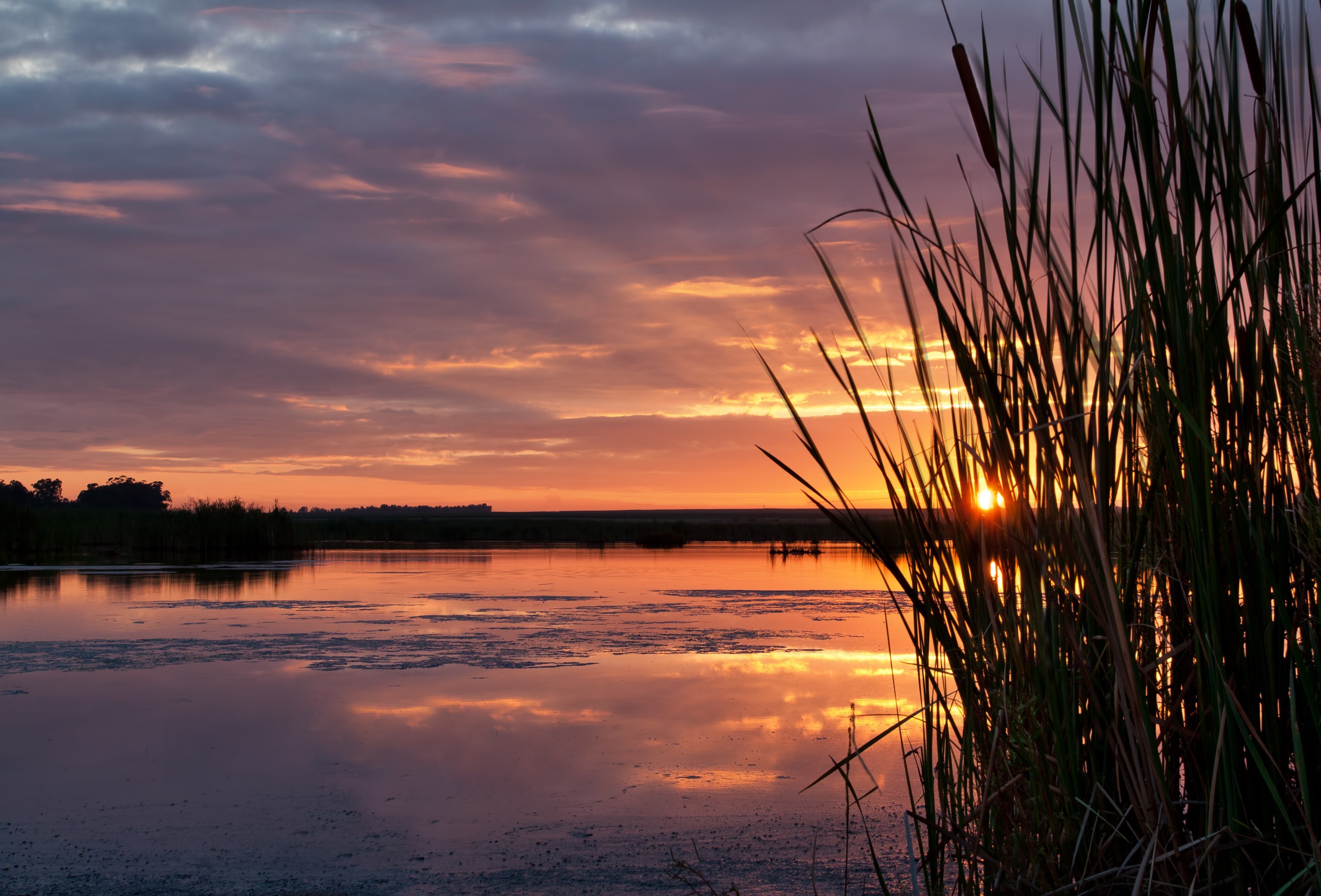 shutterstock_105005501