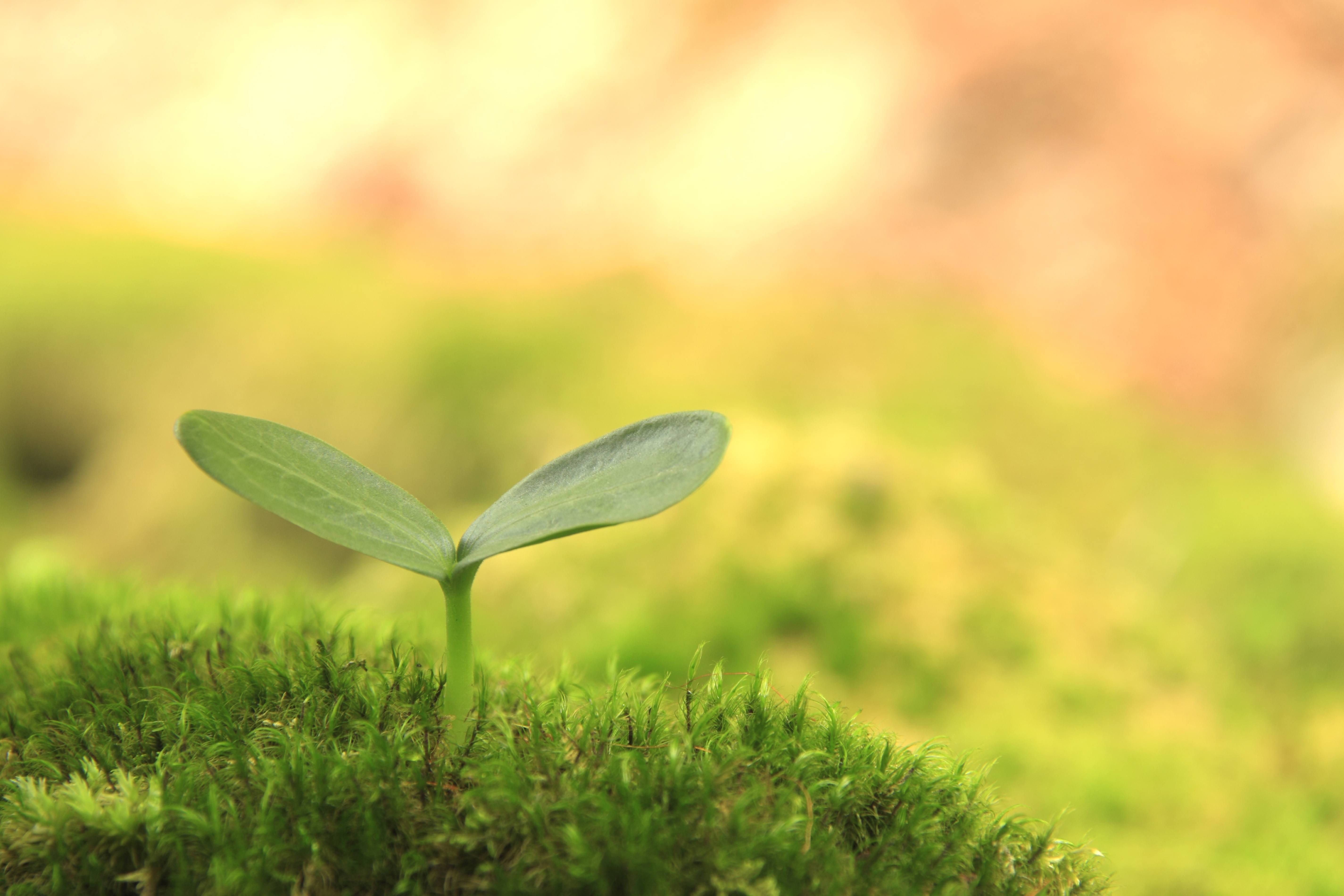 ThinkstockPhotos-105660975